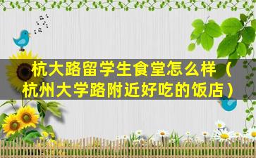 杭大路留学生食堂怎么样（杭州大学路附近好吃的饭店）