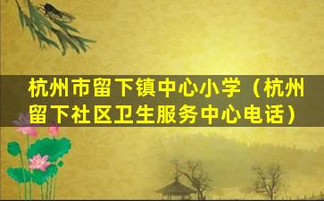 杭州市留下镇中心小学（杭州留下社区卫生服务中心电话）