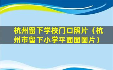 杭州留下学校门口照片（杭州市留下小学平面图图片）