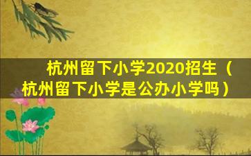 杭州留下小学2020招生（杭州留下小学是公办小学吗）