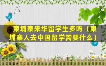 柬埔寨来华留学生多吗（柬埔寨人去中国留学需要什么）