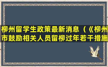 柳州留学生政策最新消息（《柳州市鼓励相关人员留柳过年若干措施》）