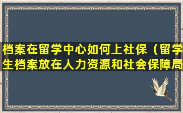 档案在留学中心如何上社保（留学生档案放在人力资源和社会保障局）