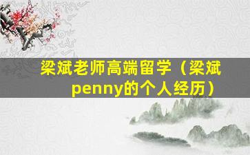 梁斌老师高端留学（梁斌penny的个人经历）