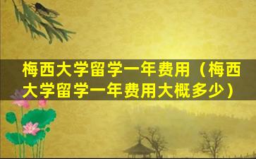 梅西大学留学一年费用（梅西大学留学一年费用大概多少）