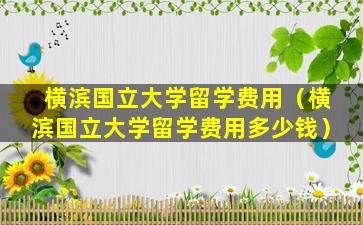 横滨国立大学留学费用（横滨国立大学留学费用多少钱）