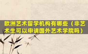 欧洲艺术留学机构有哪些（非艺术生可以申请国外艺术学院吗）