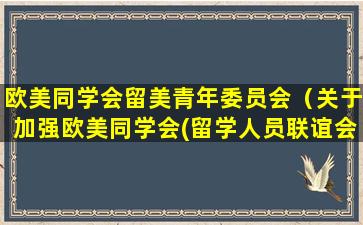 欧美同学会留美青年委员会（关于加强欧美同学会(留学人员联谊会)建设的意见）