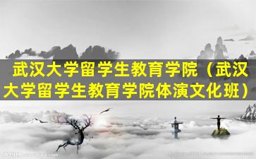 武汉大学留学生教育学院（武汉大学留学生教育学院体演文化班）