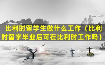 比利时留学生做什么工作（比利时留学毕业后可在比利时工作吗）