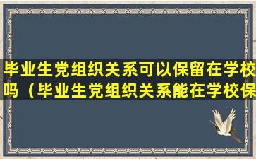 毕业生党组织关系可以保留在学校吗（毕业生党组织关系能在学校保留多久）