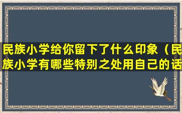 民族小学给你留下了什么印象（民族小学有哪些特别之处用自己的话做简单介绍）