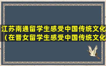 江苏南通留学生感受中国传统文化（在晋女留学生感受中国传统文化）