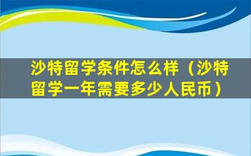 沙特留学条件怎么样（沙特留学一年需要多少人民币）