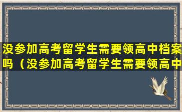 没参加高考留学生需要领高中档案吗（没参加高考留学生需要领高中档案吗怎么办）