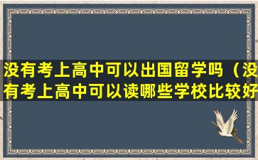 没有考上高中可以出国留学吗（没有考上高中可以读哪些学校比较好）