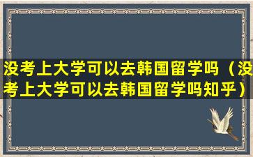 没考上大学可以去韩国留学吗（没考上大学可以去韩国留学吗知乎）