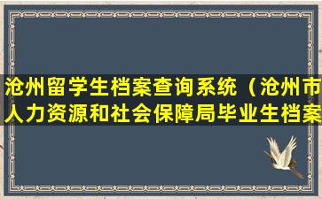 沧州留学生档案查询系统（沧州市人力资源和社会保障局毕业生档案查询）