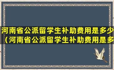 河南省公派留学生补助费用是多少（河南省公派留学生补助费用是多少钱）