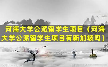 河海大学公派留学生项目（河海大学公派留学生项目有新加坡吗）