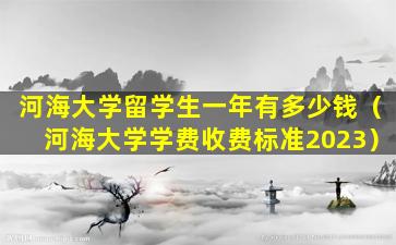 河海大学留学生一年有多少钱（河海大学学费收费标准2023）