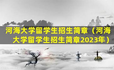 河海大学留学生招生简章（河海大学留学生招生简章2023年）