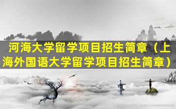 河海大学留学项目招生简章（上海外国语大学留学项目招生简章）