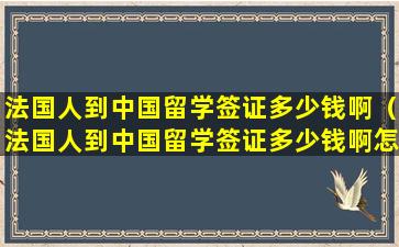 法国人到中国留学签证多少钱啊（法国人到中国留学签证多少钱啊怎么办）