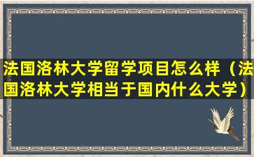 法国洛林大学留学项目怎么样（法国洛林大学相当于国内什么大学）