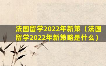 法国留学2022年新策（法国留学2022年新策略是什么）