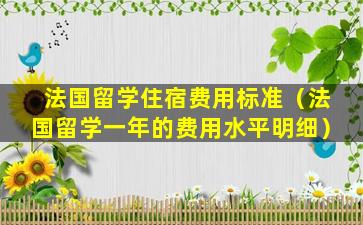 法国留学住宿费用标准（法国留学一年的费用水平明细）