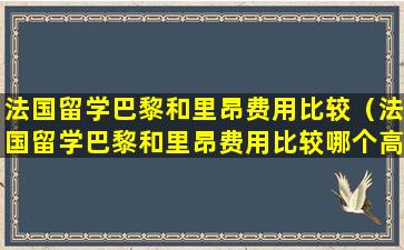 法国留学巴黎和里昂费用比较（法国留学巴黎和里昂费用比较哪个高）