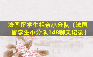 法国留学生相亲小分队（法国留学生小分队148聊天记录）