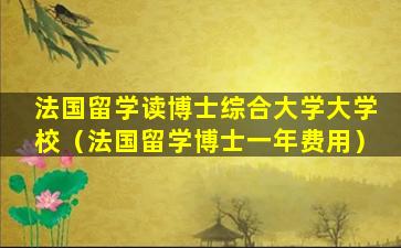 法国留学读博士综合大学大学校（法国留学博士一年费用）