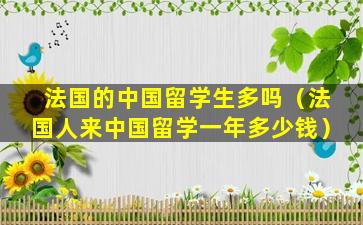 法国的中国留学生多吗（法国人来中国留学一年多少钱）