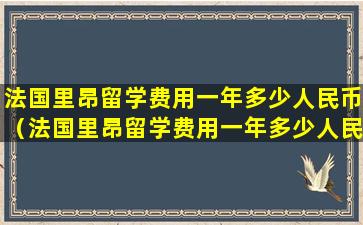 法国里昂留学费用一年多少人民币（法国里昂留学费用一年多少人民币啊）