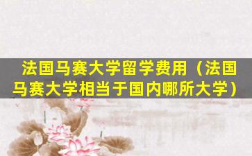 法国马赛大学留学费用（法国马赛大学相当于国内哪所大学）