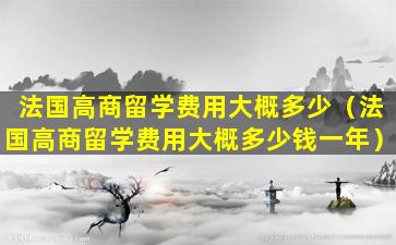 法国高商留学费用大概多少（法国高商留学费用大概多少钱一年）