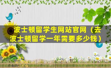 波士顿留学生网站官网（去波士顿留学一年需要多少钱）