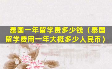 泰国一年留学费多少钱（泰国留学费用一年大概多少人民币）