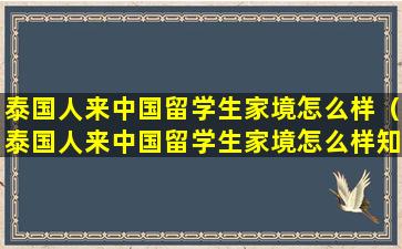 泰国人来中国留学生家境怎么样（泰国人来中国留学生家境怎么样知乎）