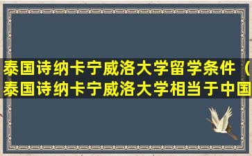 泰国诗纳卡宁威洛大学留学条件（泰国诗纳卡宁威洛大学相当于中国什么大学）