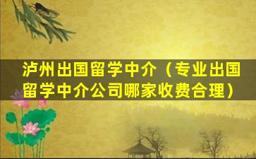 泸州出国留学中介（专业出国留学中介公司哪家收费合理）