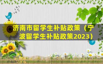 济南市留学生补贴政策（宁波留学生补贴政策2023）