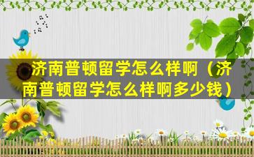 济南普顿留学怎么样啊（济南普顿留学怎么样啊多少钱）