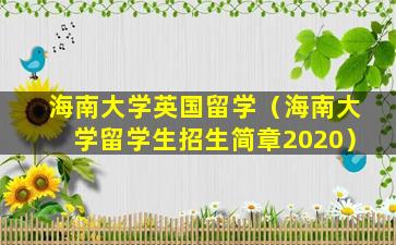 海南大学英国留学（海南大学留学生招生简章2020）