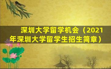 深圳大学留学机会（2021年深圳大学留学生招生简章）