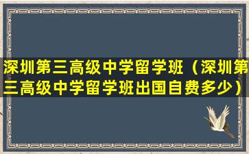 深圳第三高级中学留学班（深圳第三高级中学留学班出国自费多少）