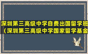 深圳第三高级中学自费出国留学班（深圳第三高级中学国家留学基金委自费出国留学班）