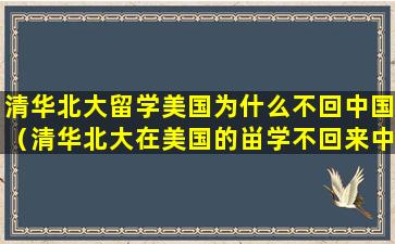 清华北大留学美国为什么不回中国（清华北大在美国的畄学不回来中国而留在美国）